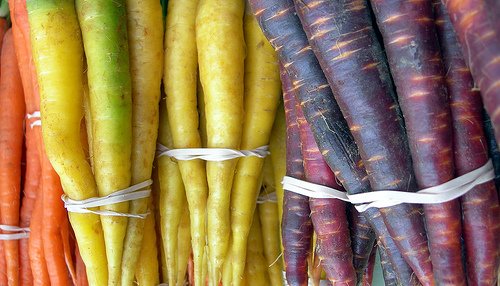 Carrots in various colours, colors